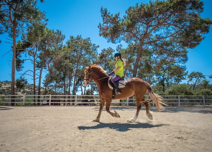 Residences Junior Hotel